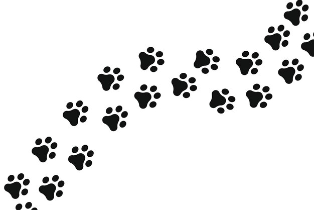 Paw Prints Trail Across Screen