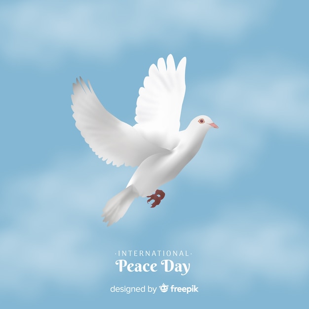 Peace day background with white dove