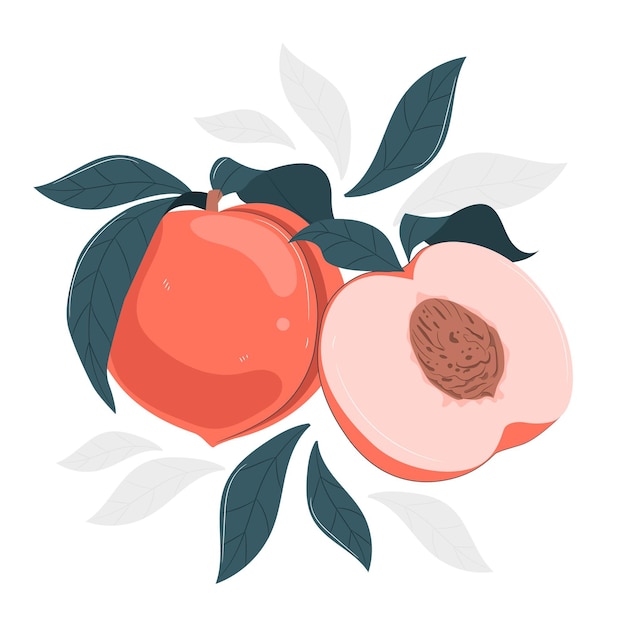Peach concept illustration