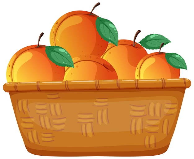 Peaches in a basket isolated