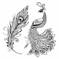 Free vector peacock feather design black doodle  print