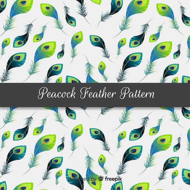 Free vector peacock feather pattern collection with realistic design