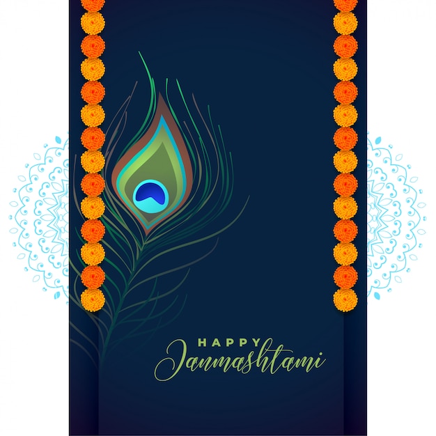 Free vector peacock feather for shree krishna janmashtami festival