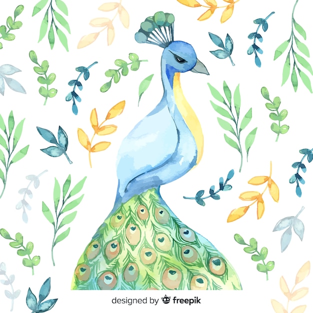 Free vector peacock in watercolor style