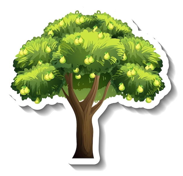 Pear tree sticker on white background