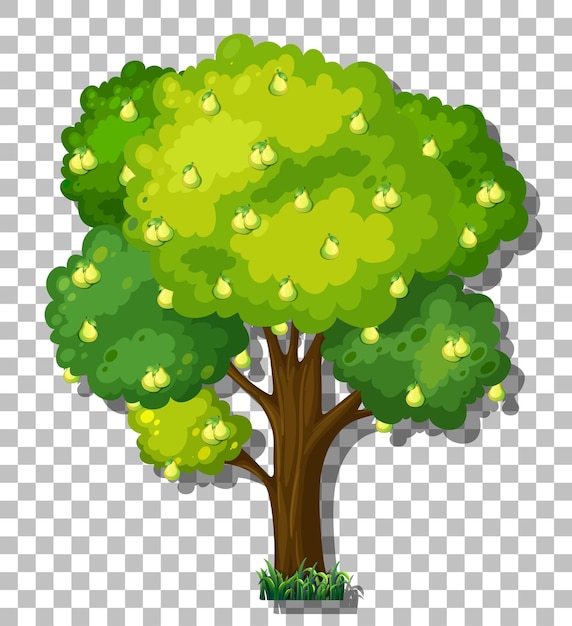 Free vector pear tree on transparent background