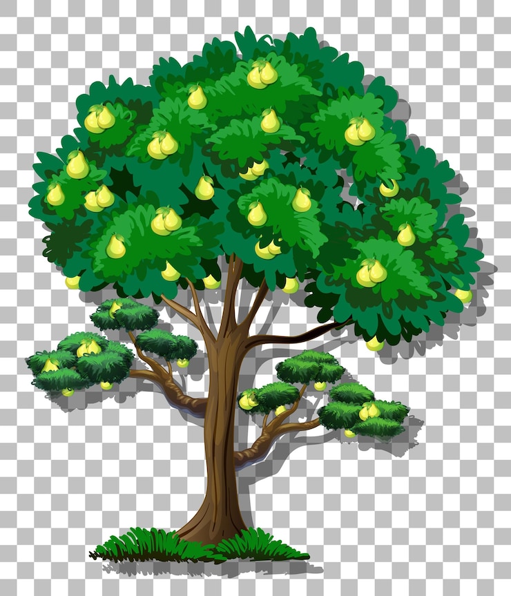 Free Vector pear tree on transparent background