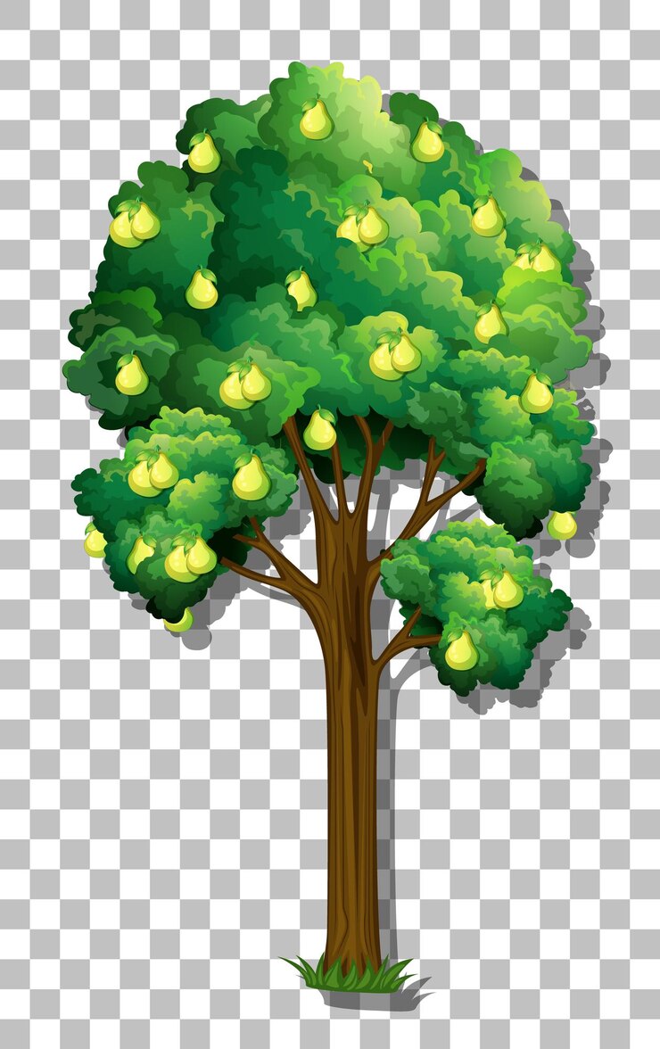 Free Vector pear tree on transparent background