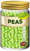 Free vector peas preserve in glass jar