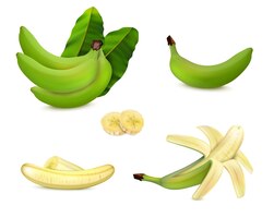 peeled unpeeled and sliced green banana with leaves realistic set isolated vector illustration