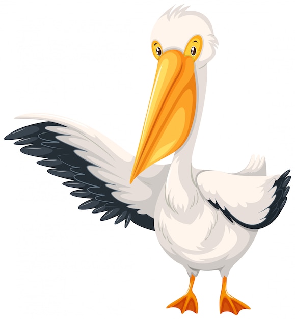 A pelican character on white background