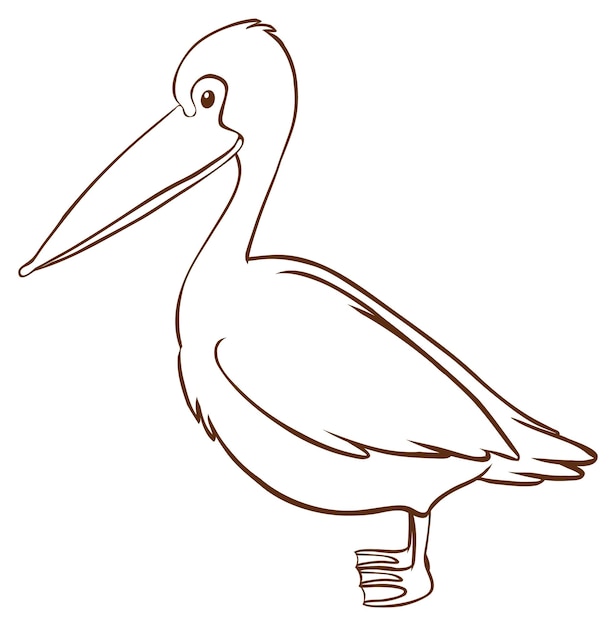 Pelican in doodle simple style on white background