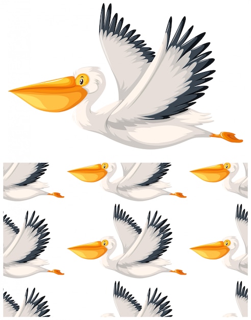 Pelican seamless pattern isolated on white