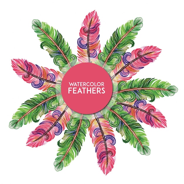 Pencil Color Feathers Design