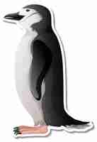 Free vector penguin animal cartoon sticker on white background