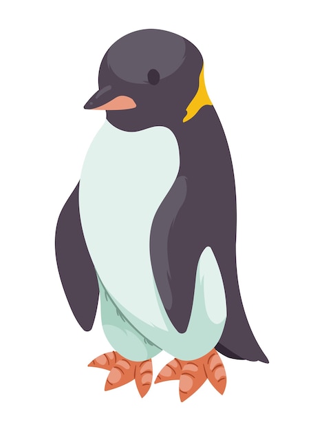 Vettore gratuito personaggio della creatura animale artica pinguino