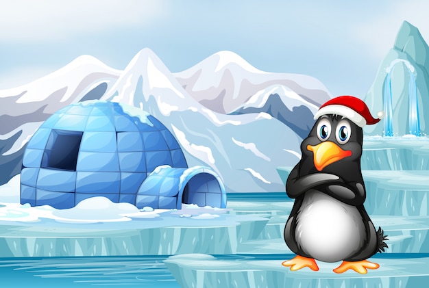 Penguin wearing christmas hat