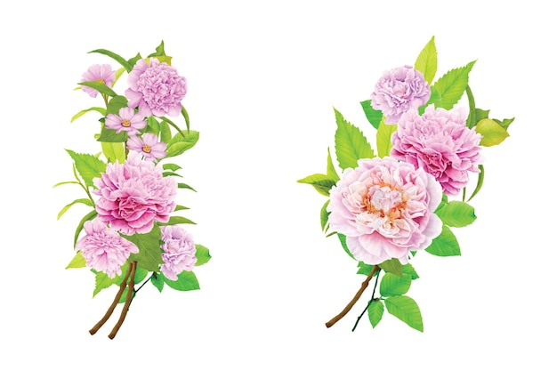 Disegno illustrativo di ghirlande floreali di peonie