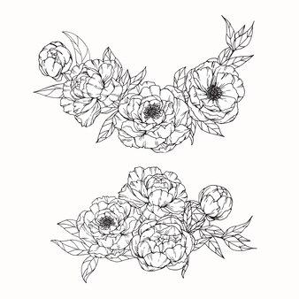 牡丹の花の描画のイラスト プレミアムベクター 牡丹の花の描画のイラスト プレミアムベクター