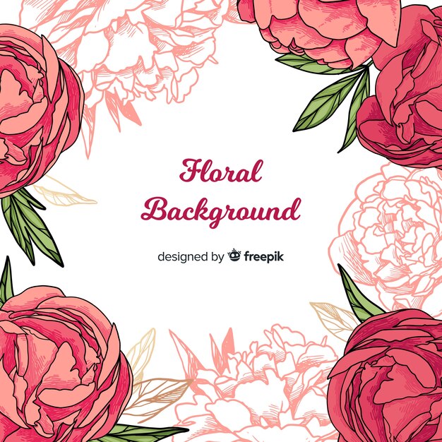 Peony flowers background concept
