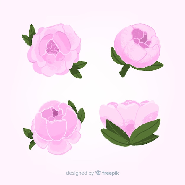 Peony flowers pack