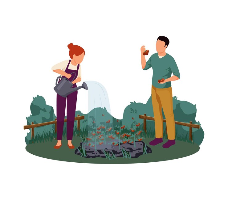 Free Vector people watering and gathering tomatoes on farm flat  illustration