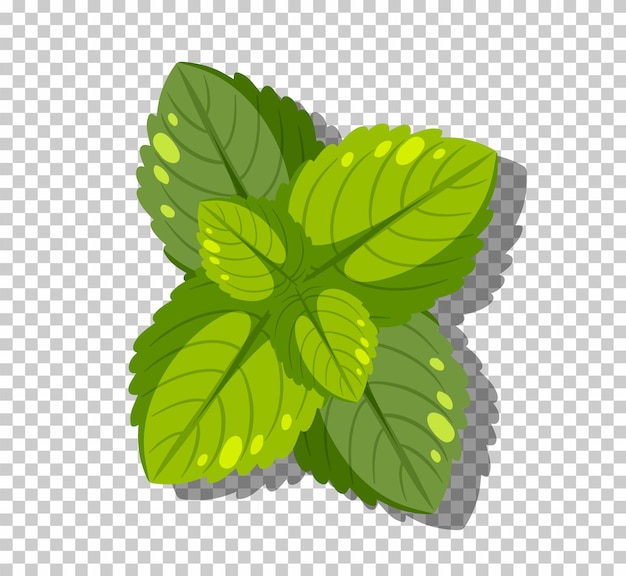 Free vector peppermint leaves isolated on grid background