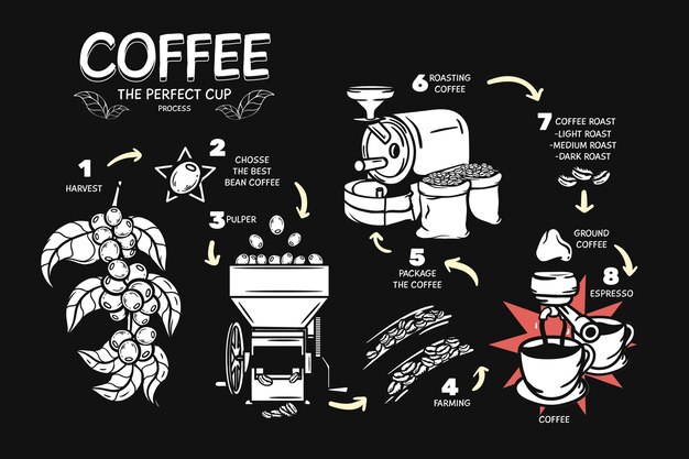 The perfect cup of coffee process