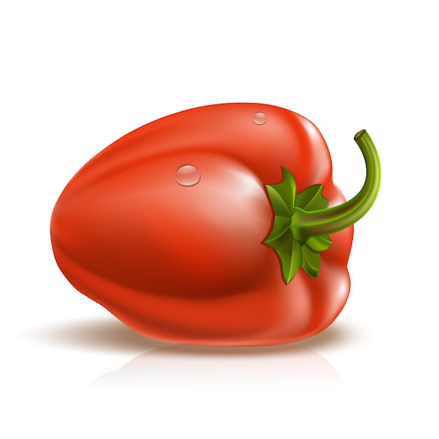 Perfect red pepper with drops on white