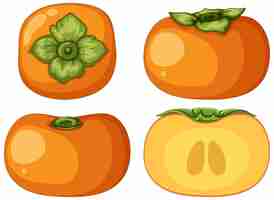 Free vector persimmon in whole and half pieces