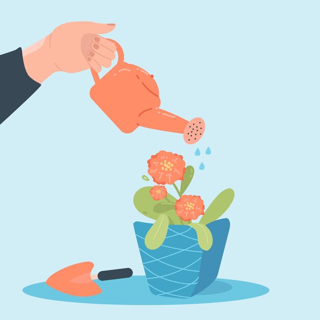 Person watering wilted flower in pot flat vector illustration. Hand holding watering pot. Person taking care of plant or houseplant. Gardening, nature, growing, foliage concept
