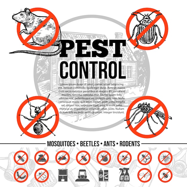 Vettore gratuito infographics di controllo dei parassiti