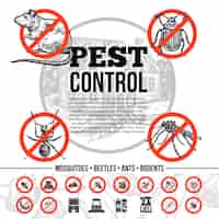 Free vector pest control infographics