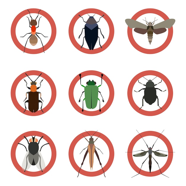 Pest Insects Control Icons Collection Danger Ants Vector