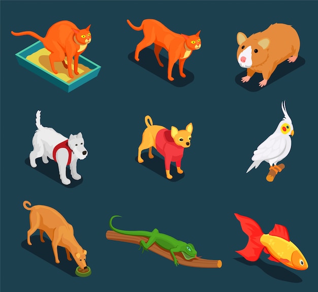 Pet animals isometric icon set