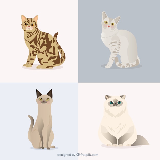 Free vector pet cats pack