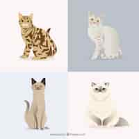 Free vector pet cats pack