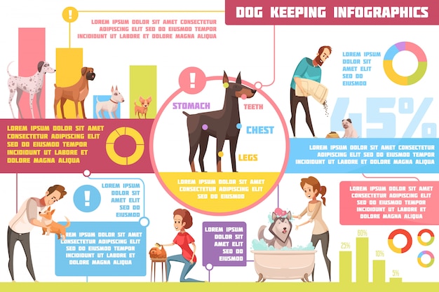 Собаки кормления воспитания обучение практические советы с ветеринаром советы ретро мультфильм инфографики плакат абстрактные векторные иллюстрации