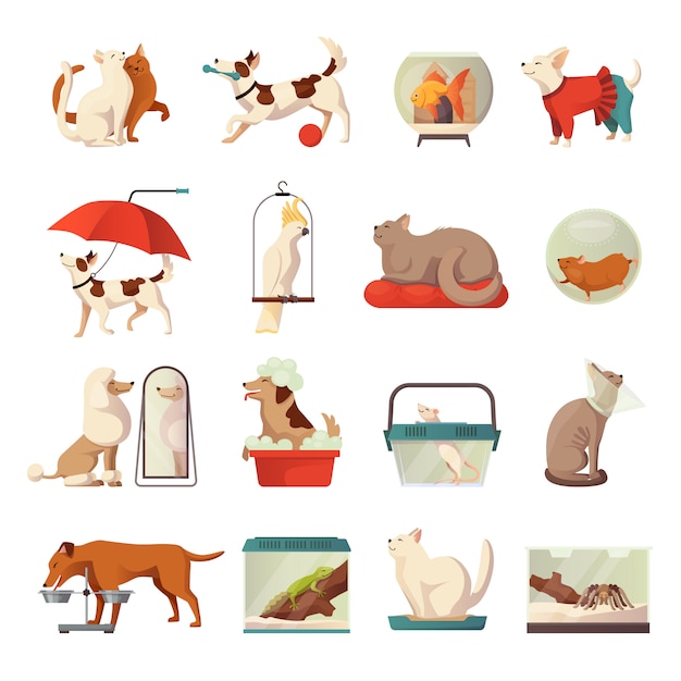 Pet shop icons set