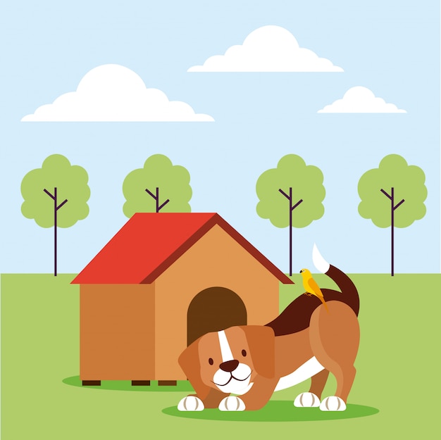 Free vector pet shop related