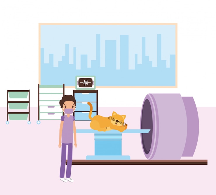 Free Vector pet and veterinary