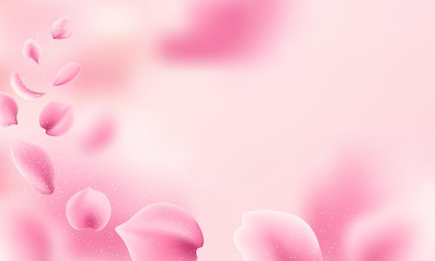 핑크 장미 스파 배경의 꽃잎