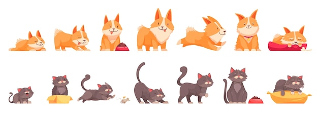 Стадии роста домашних животных набор изолированных иконок мультяшных персонажей кошек и собак в разном возрасте векторная иллюстрация