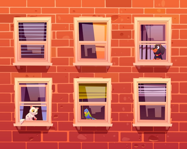 Animali domestici in windows, gatto, cane e pappagallo sul davanzale