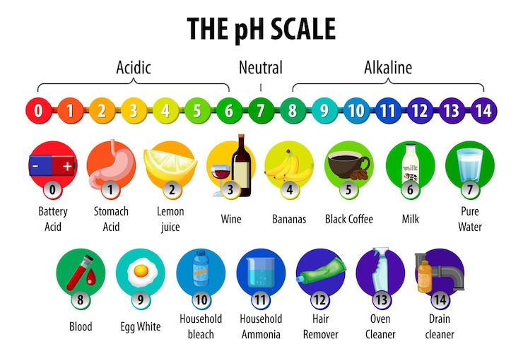 Free Vector the ph scale diagram on white background