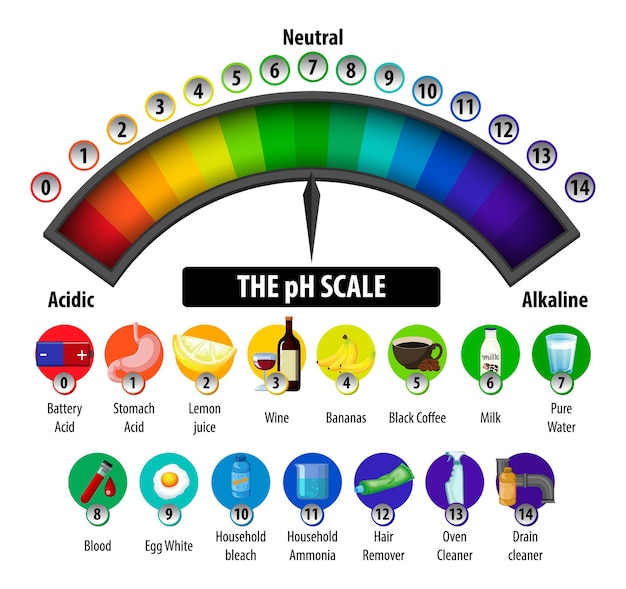 Free vector the ph scale diagram on white background
