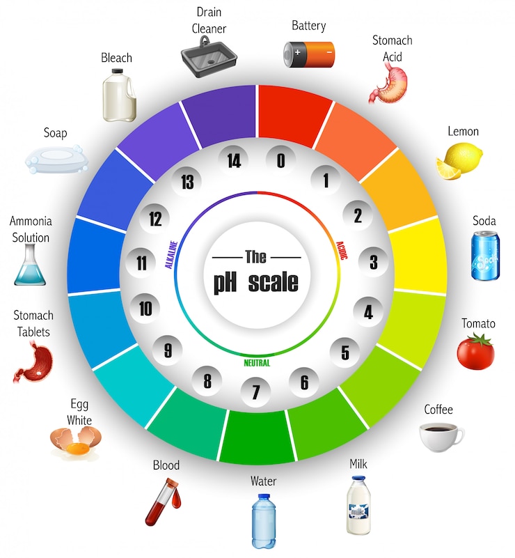 Free Vector the ph scale wheel