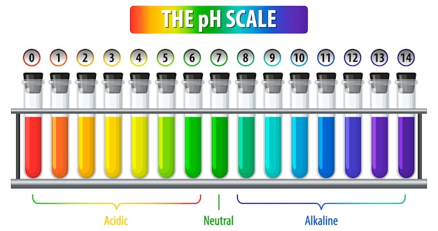 흰색 배경에 pH 규모