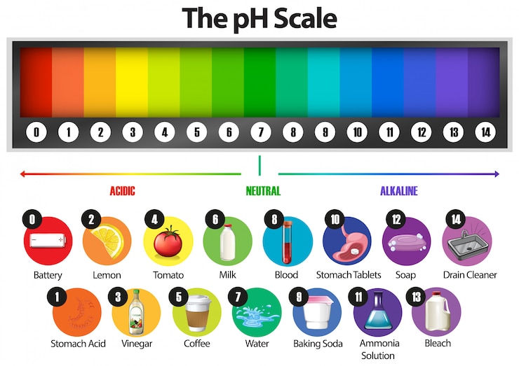 Free Vector the ph scale on white