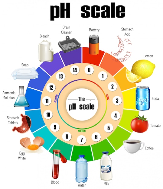 Free vector the ph scale